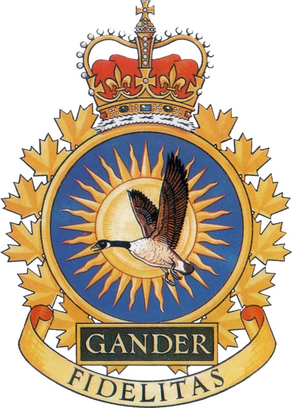 gander