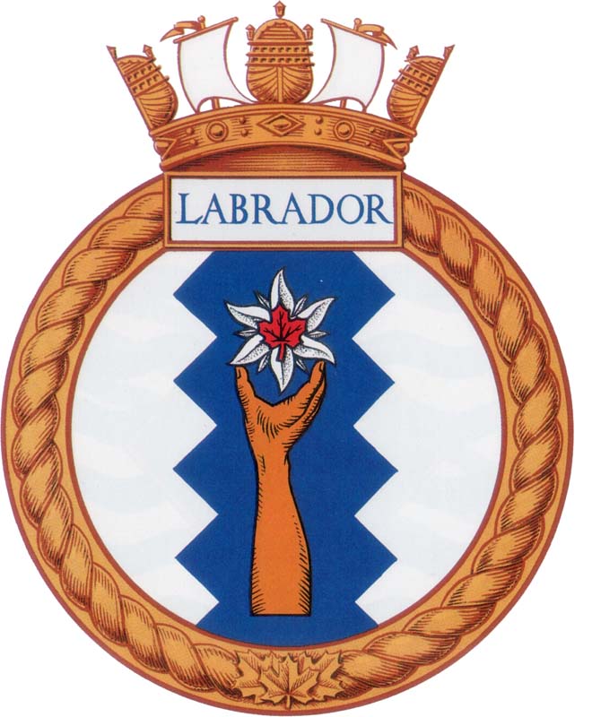 labrador