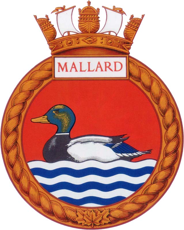 mallard