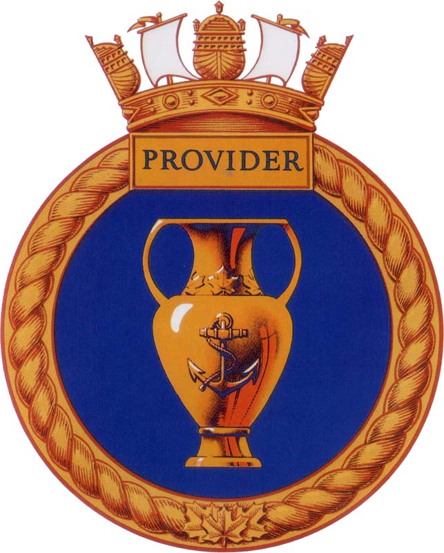 provider