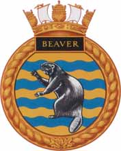 beaver