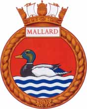 mallard