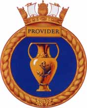 provider