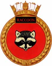 raccoon