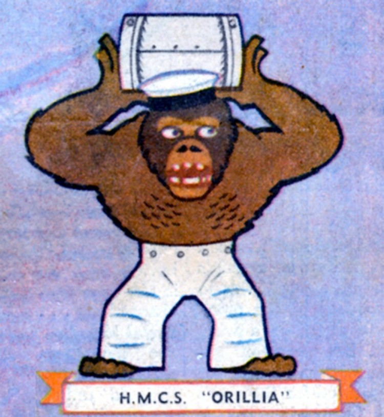 Orillia gunshield art